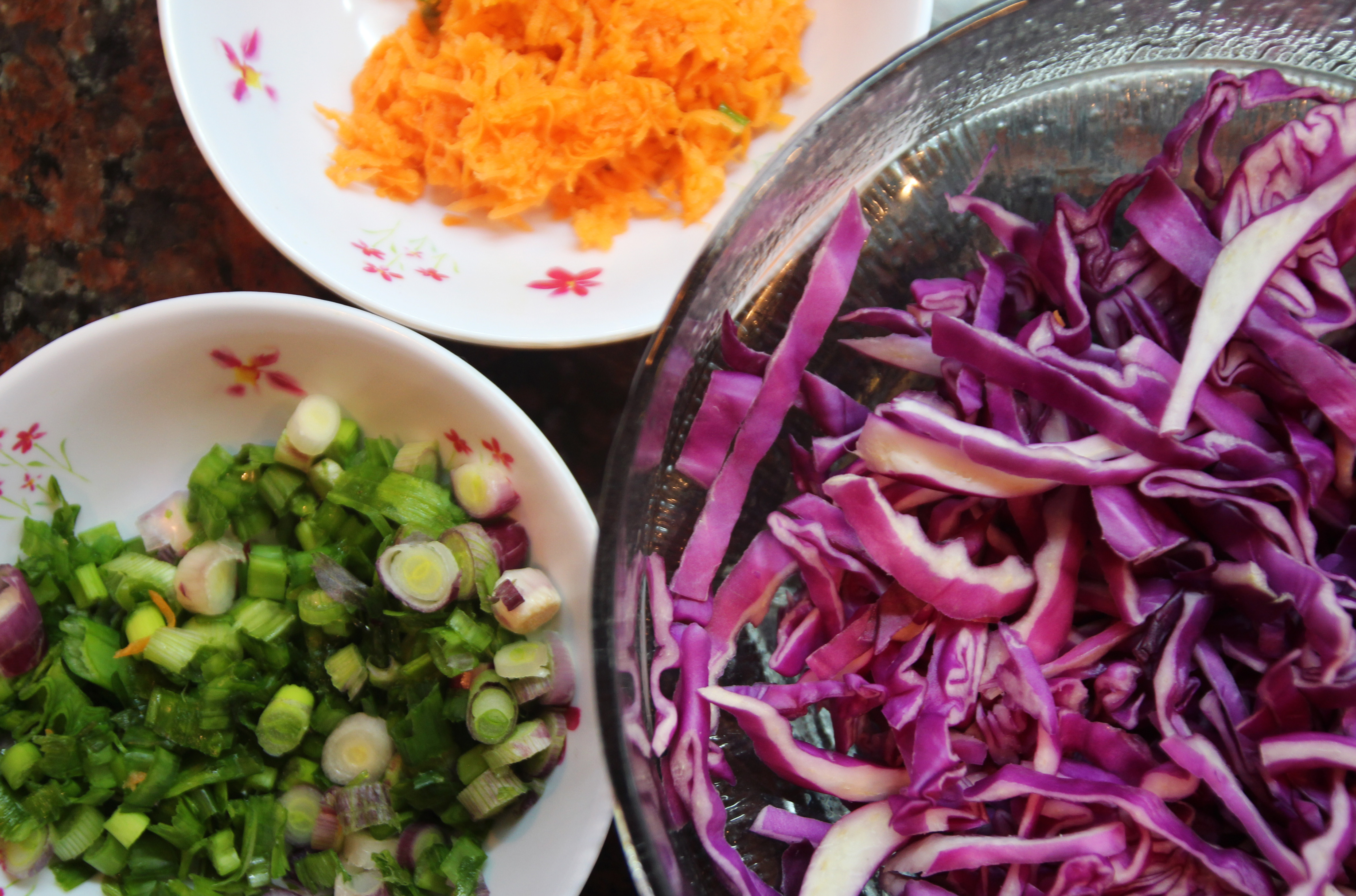 Spring Onion, Red Cabbage & Carrot Salad2