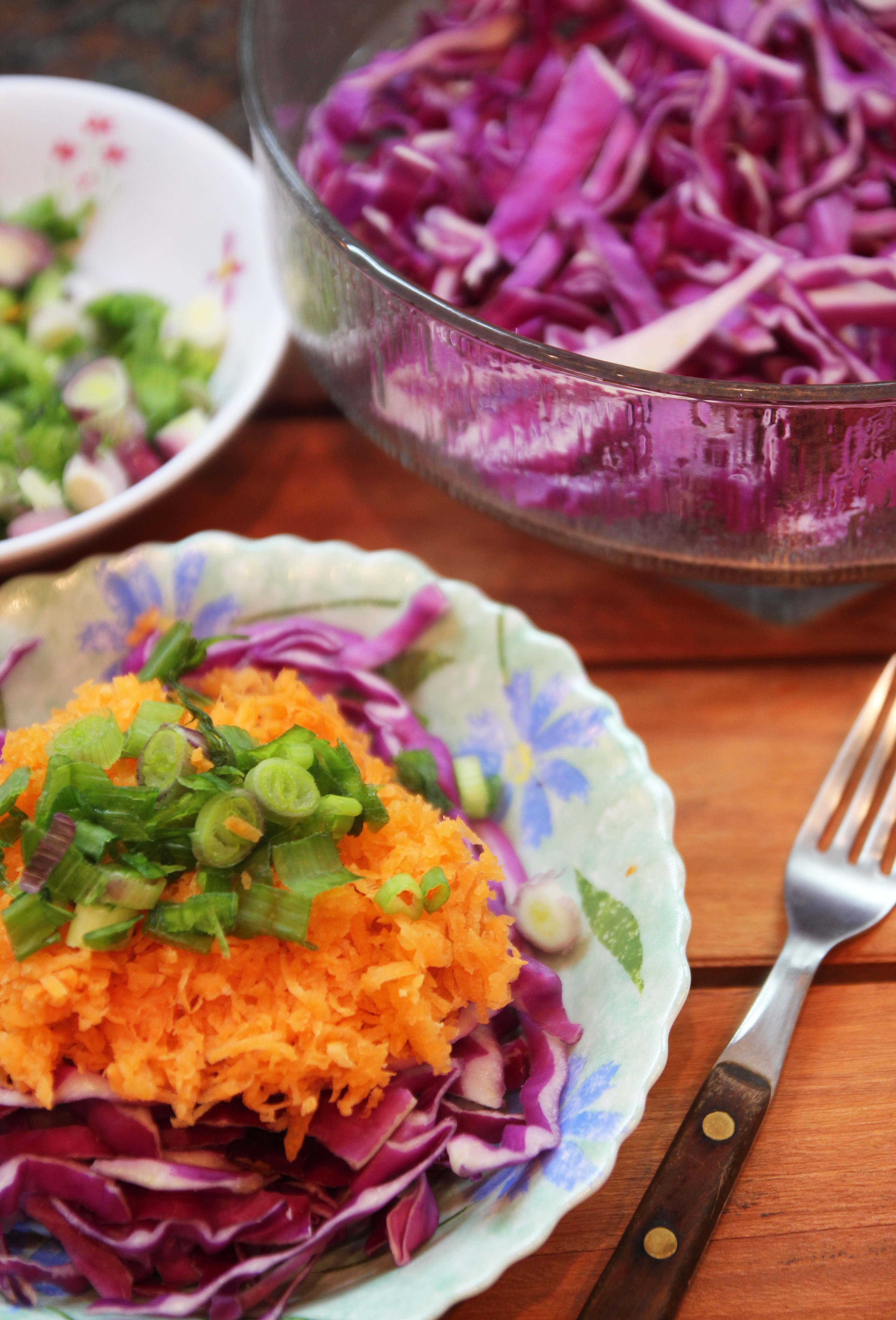 Spring Onion, Red Cabbage & Carrot Salad8