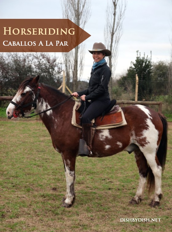 Horseriding at Caballos A La Par