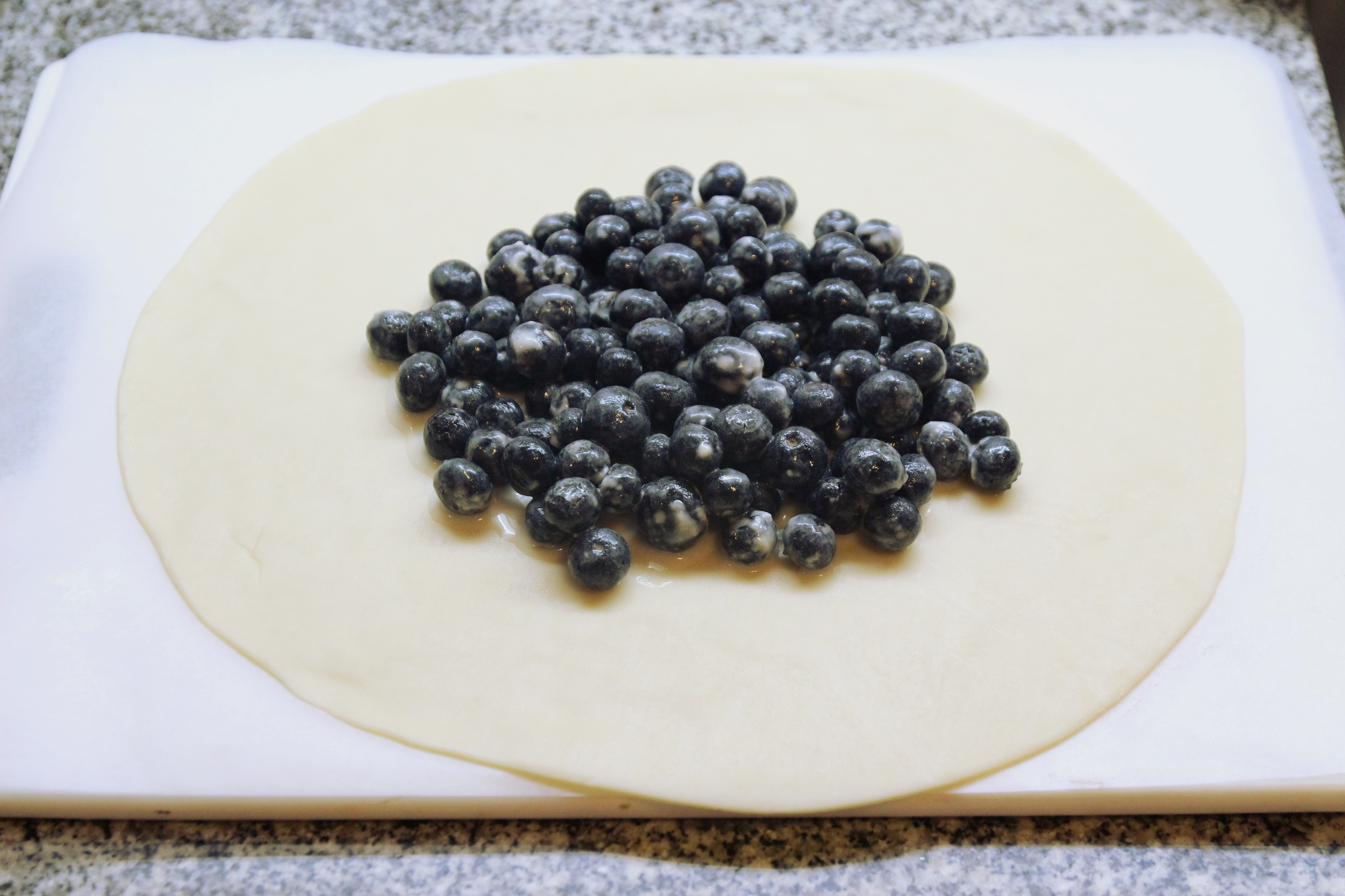 Blueberry Crostata5