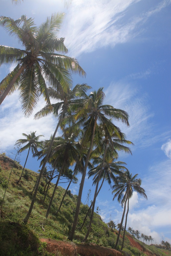 Praia de Giz, Tibau de Sur