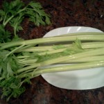 Celery Sticks With Cheddar-Tomato-Onion Dressing