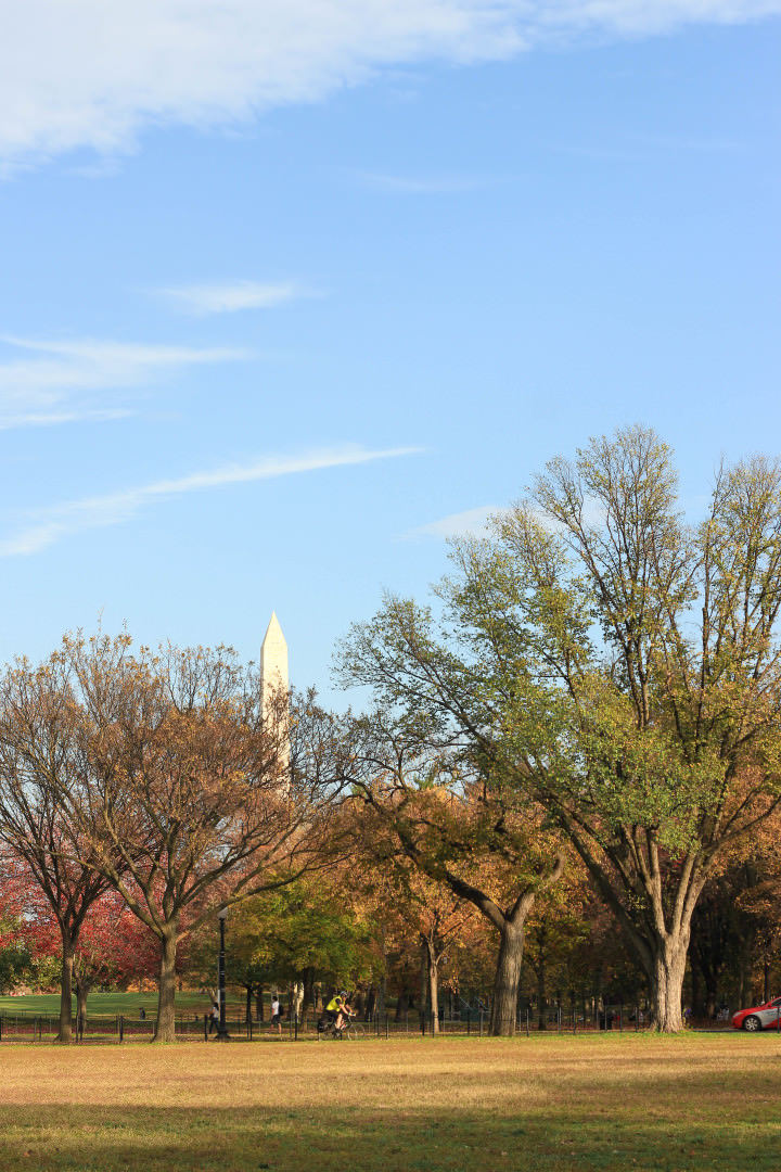 Fall in DC