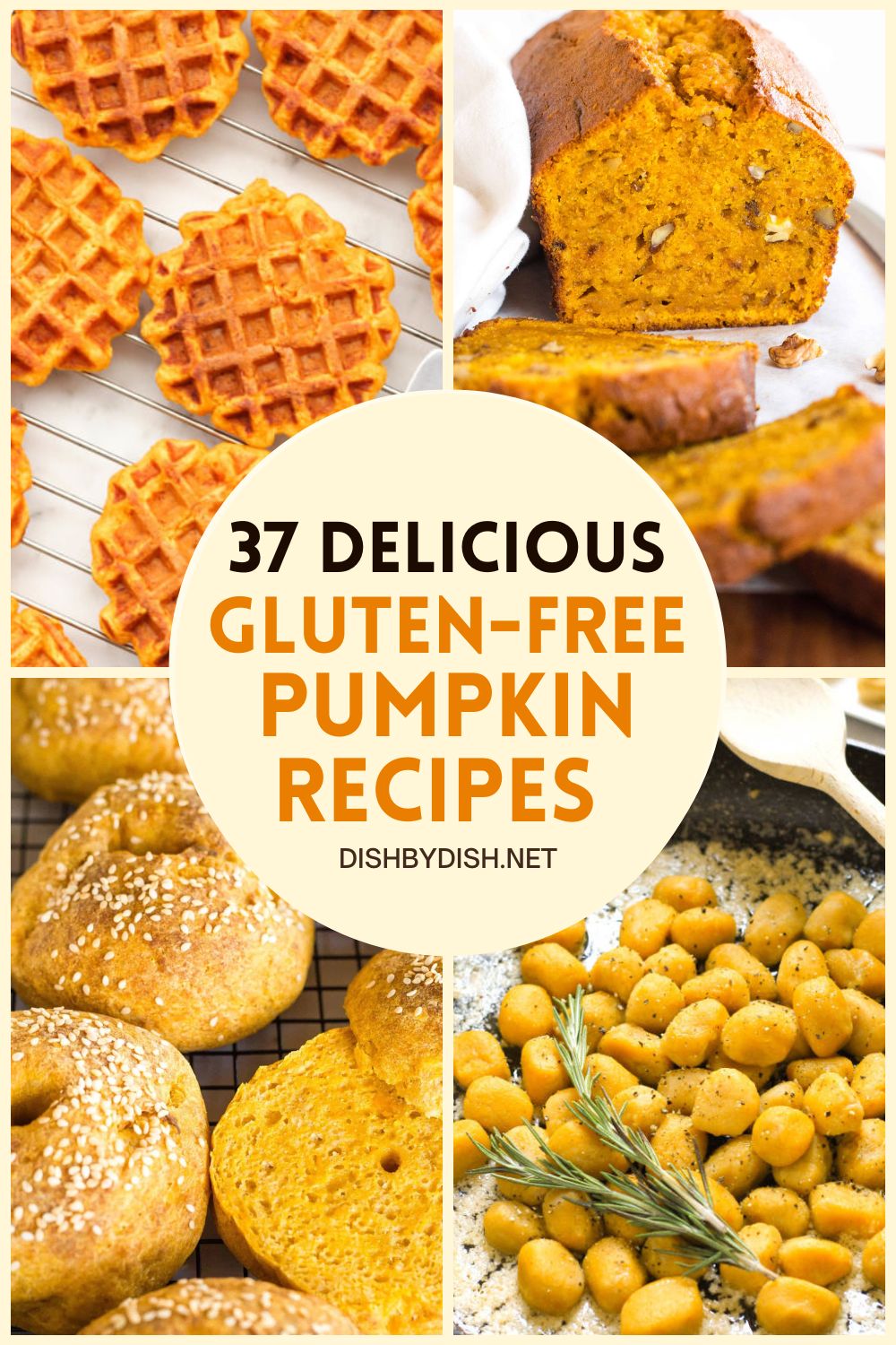 Collage of images of pumpkin recipes