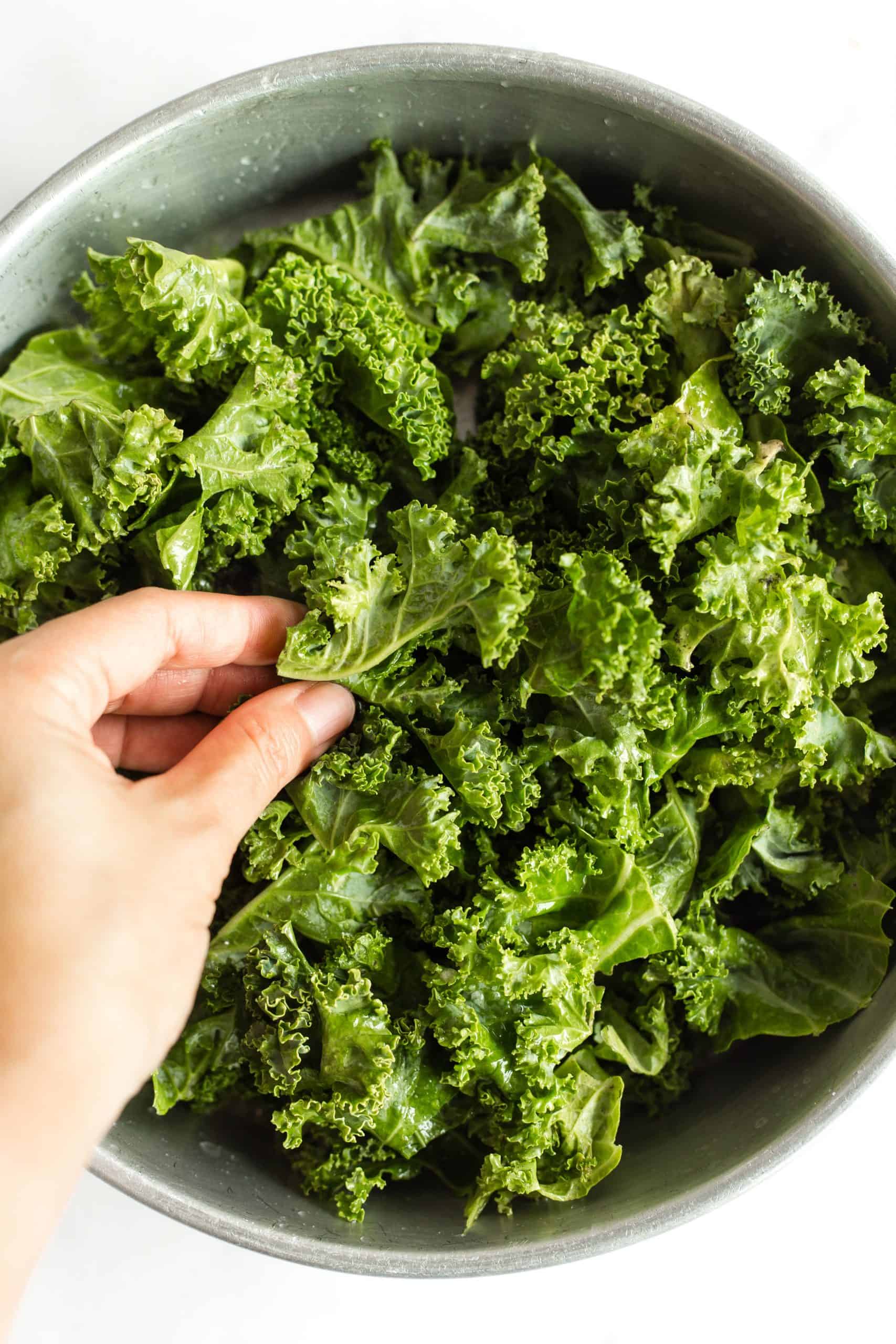 Massaging kale leaves with fingers.
