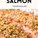 Up close shot of texture of almond crust salmon.