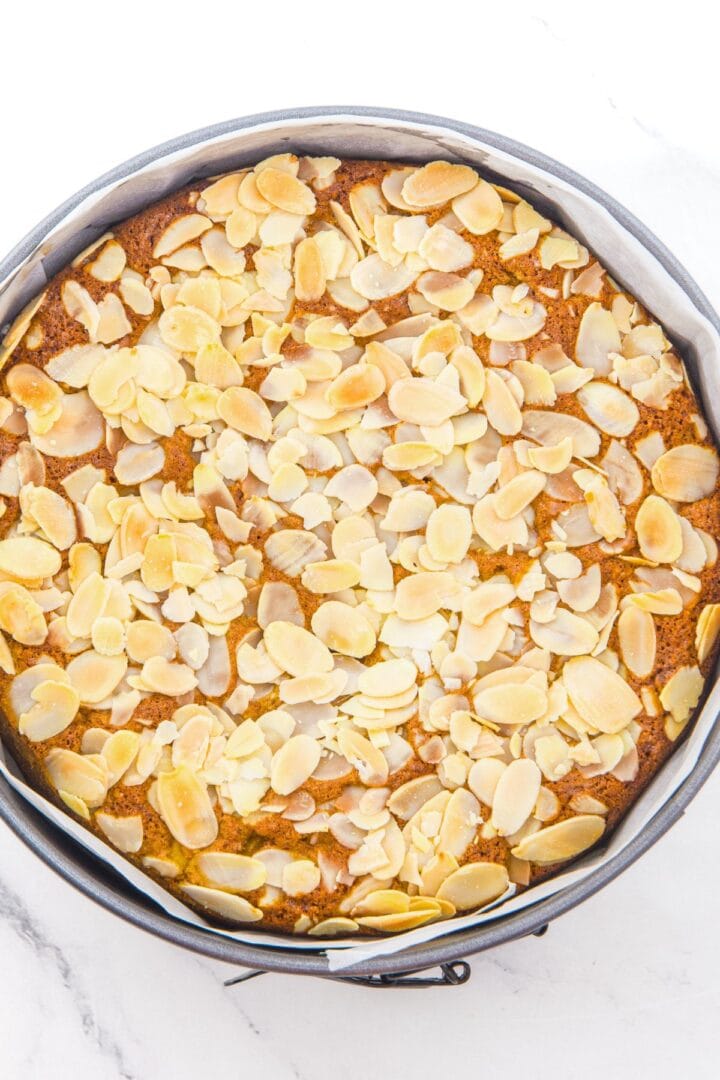 Freshly baked almond flour apple cake in springform pan.