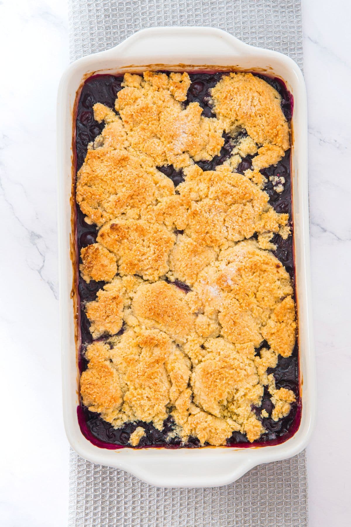 Homemade blueberry cobbler in baking dish