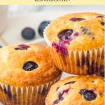 A plate of gluten-free blueberry muffins with almond flour.