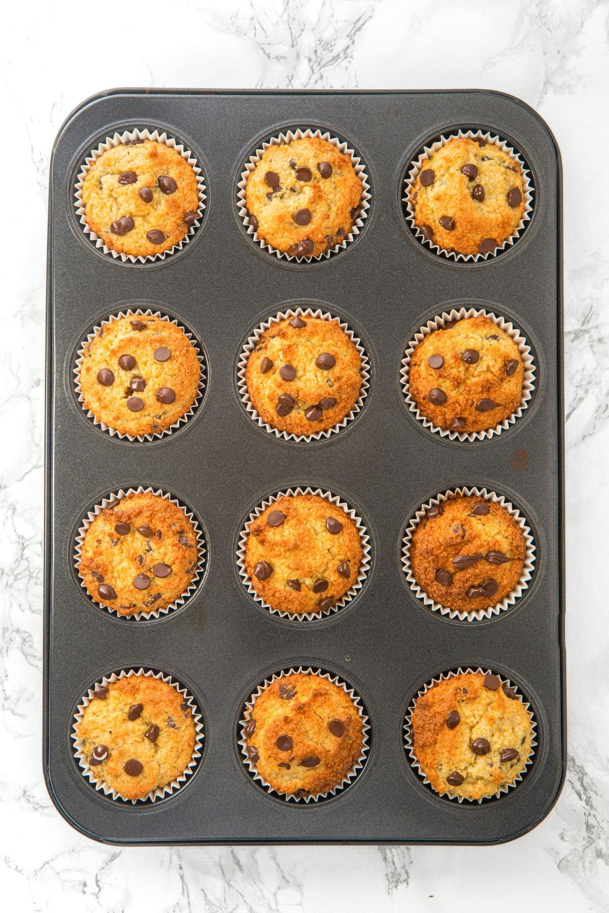 Freshly baked almond flour and chocolate chip muffins in muffin pan