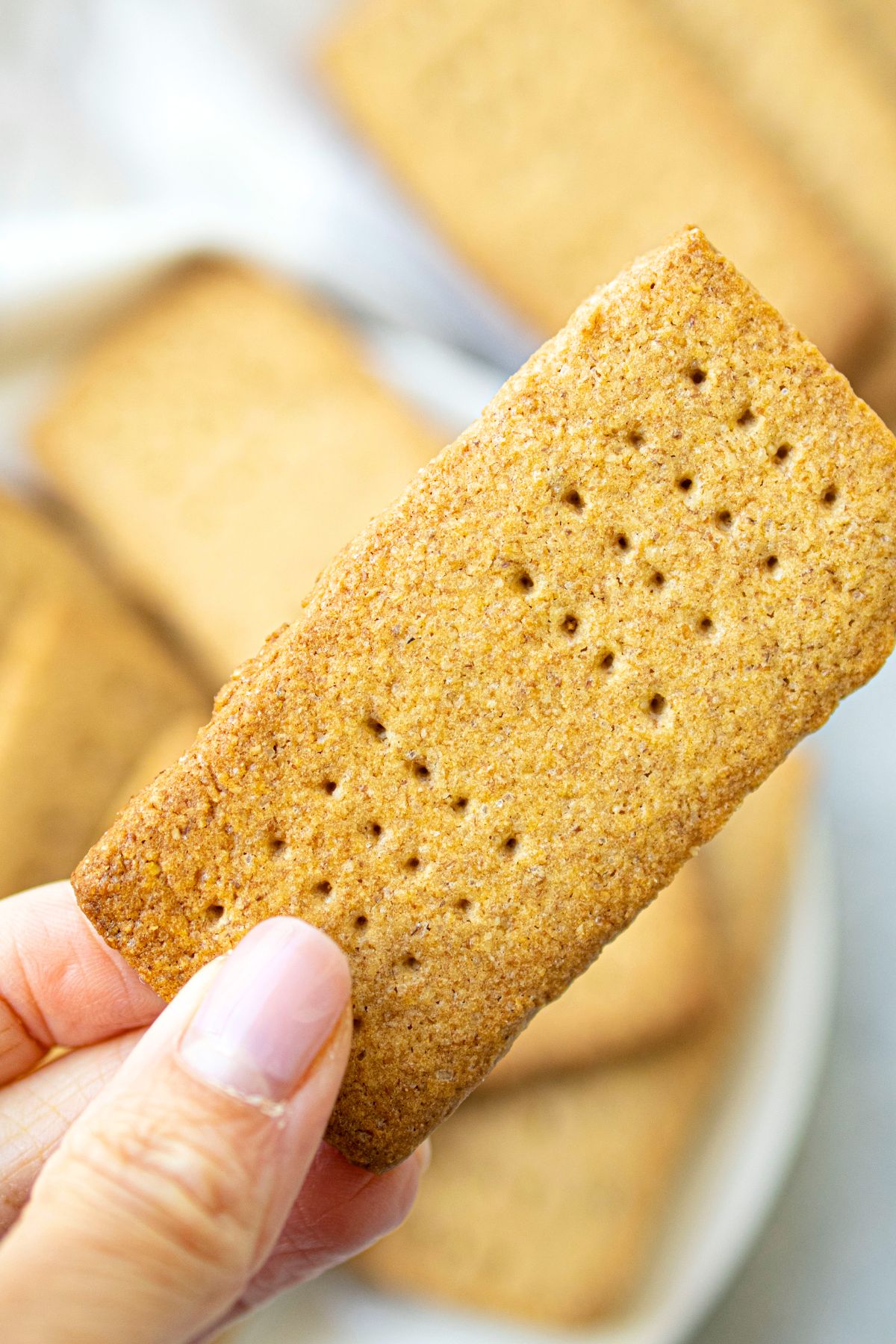Hand holding up a graham cracker