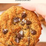 Hand holding up a chocolate chip pumpkin cookie