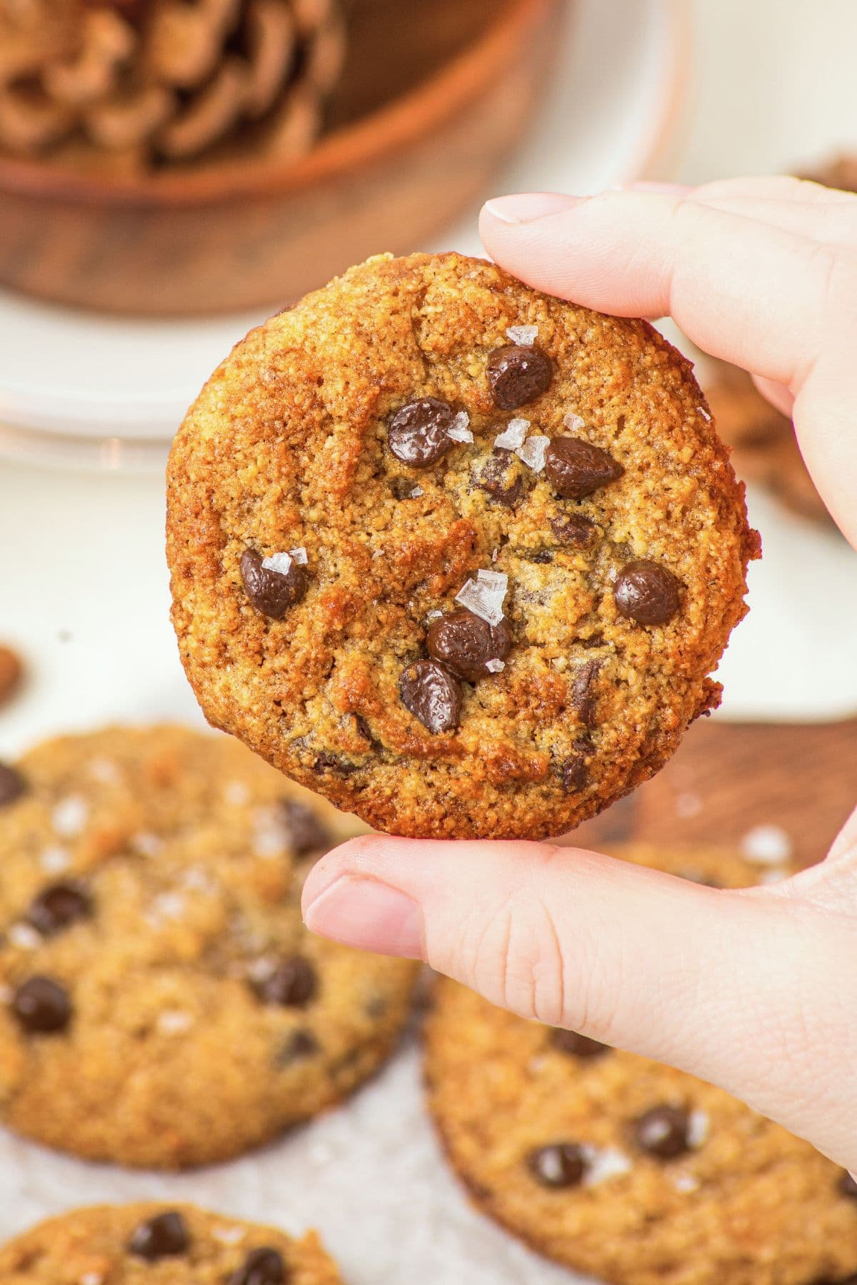 Chocolate Chip Almond Flour Pumpkin Cookies (Gluten-Free, Dairy-Free) Hand holding up a chocolate chip almond flour cookie