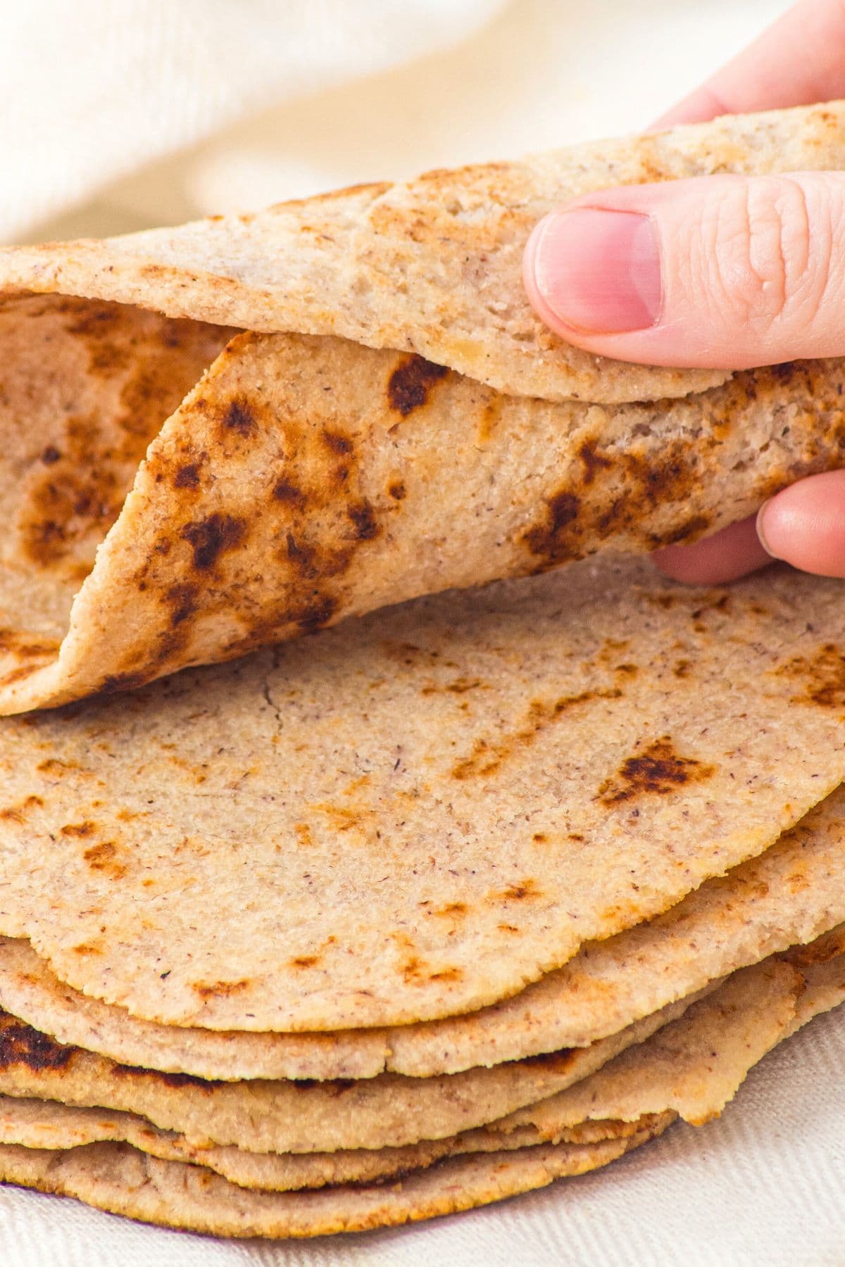 Hand holding a rolled tortilla
