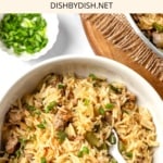 A bowl of dirty rice with a spoon.