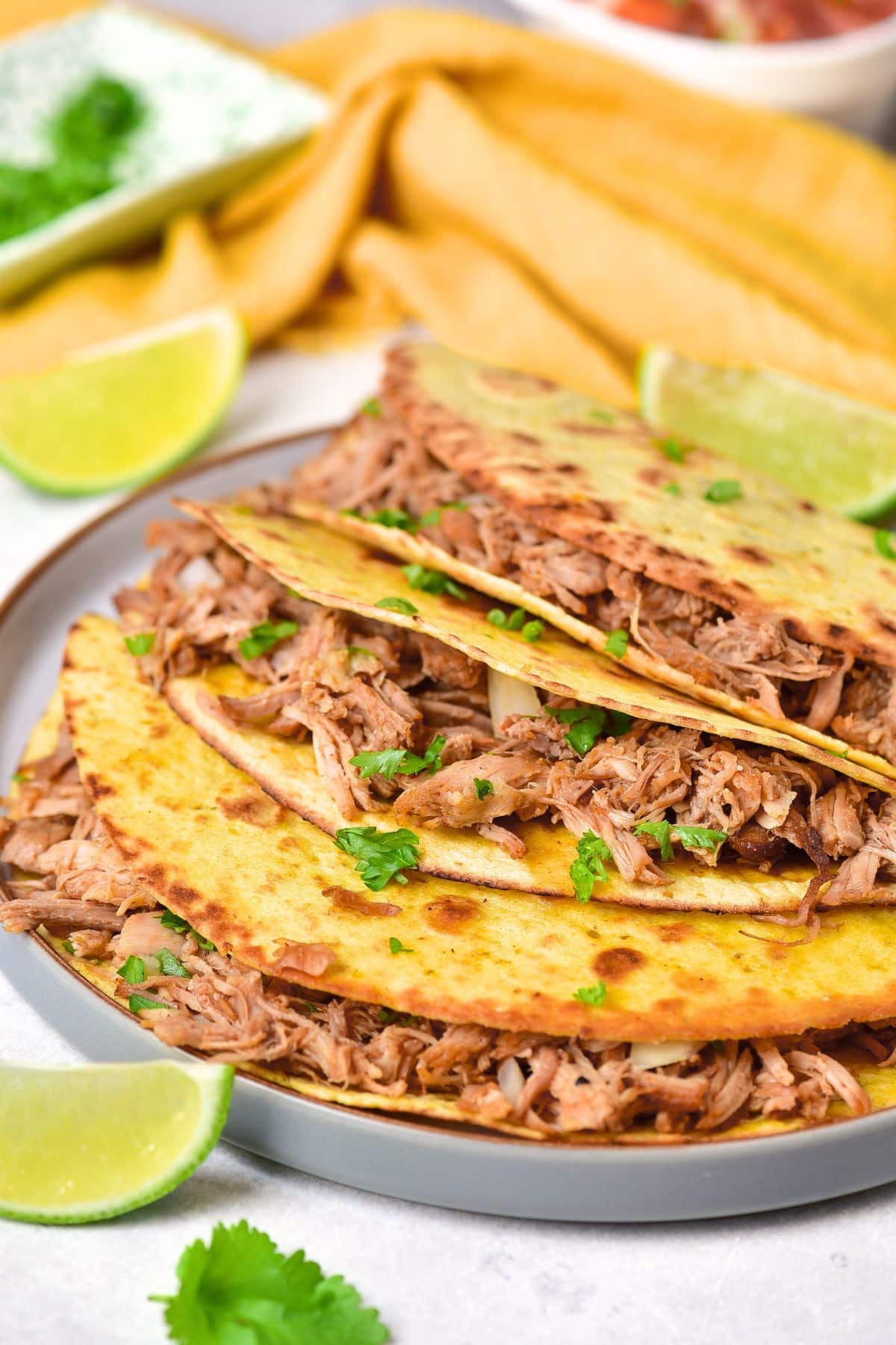 Up close shot of a plate of carnitas street tacos.