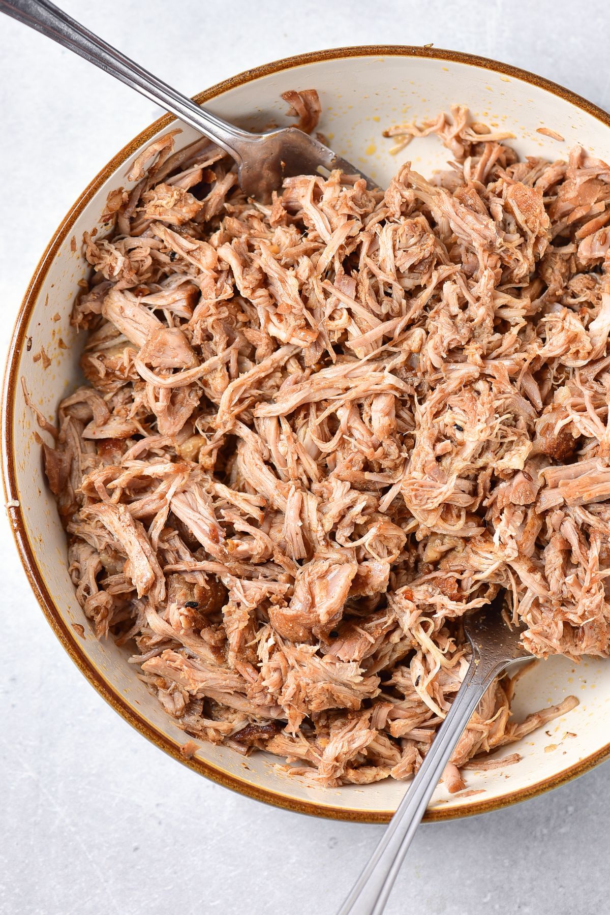 Bowl of shredded pork
