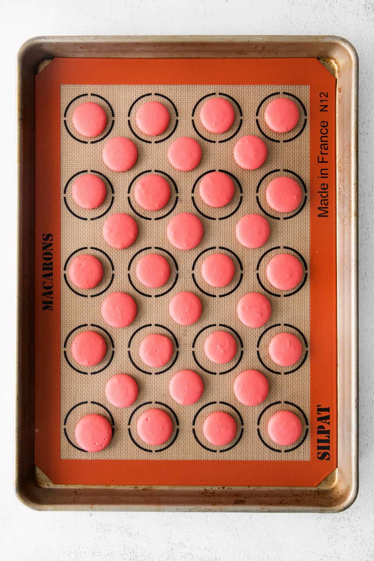Macaron batter piped into small circles on silpat.