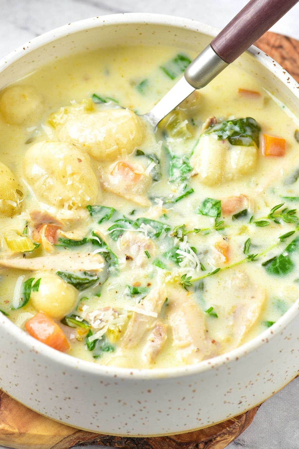 Up close view of a bowl of chicken gnocchi soup
