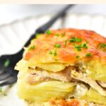 Up close shot of chicken and potato bake