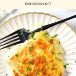 Top down view of a portion of chicken and potato casserole