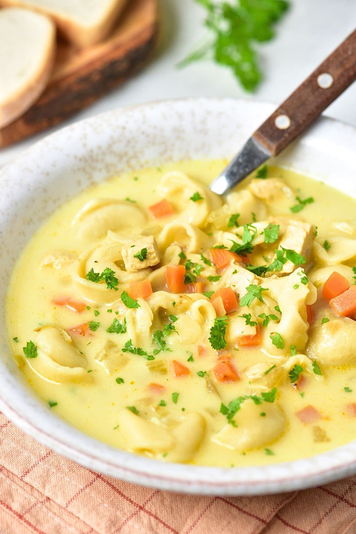 Up close view of a bowl of chicken tortellini soup