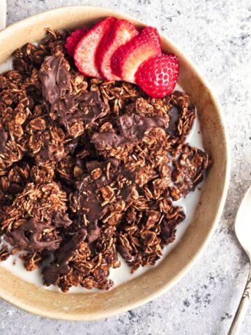 A bowl with chocolate coconut granola clusters.
