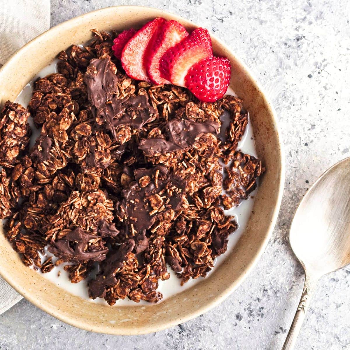 A bowl with chocolate coconut granola clusters.