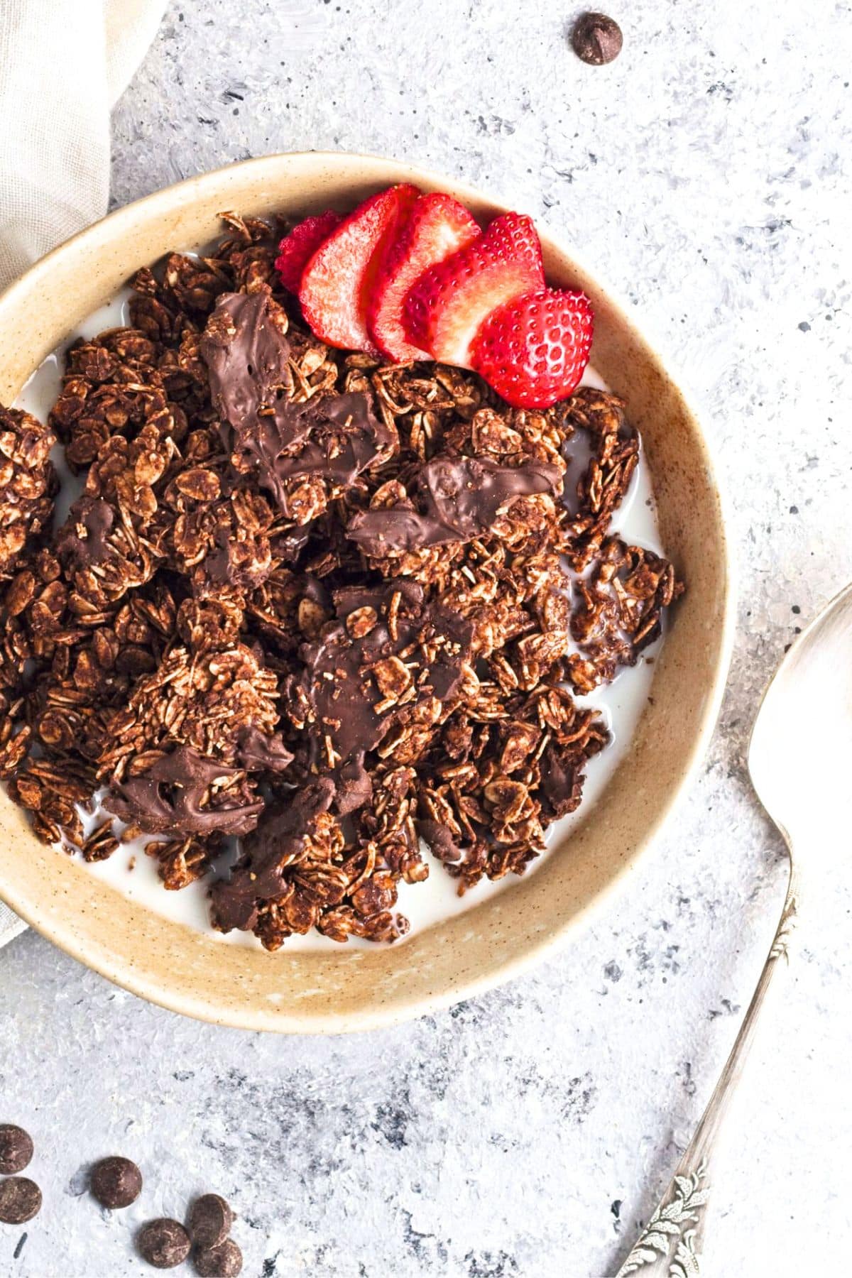 Top down view of a bowl of chocolate coconut granola and strawberries.