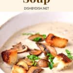 Up close show of a bowl of creamy mushroom soup on pink towel.