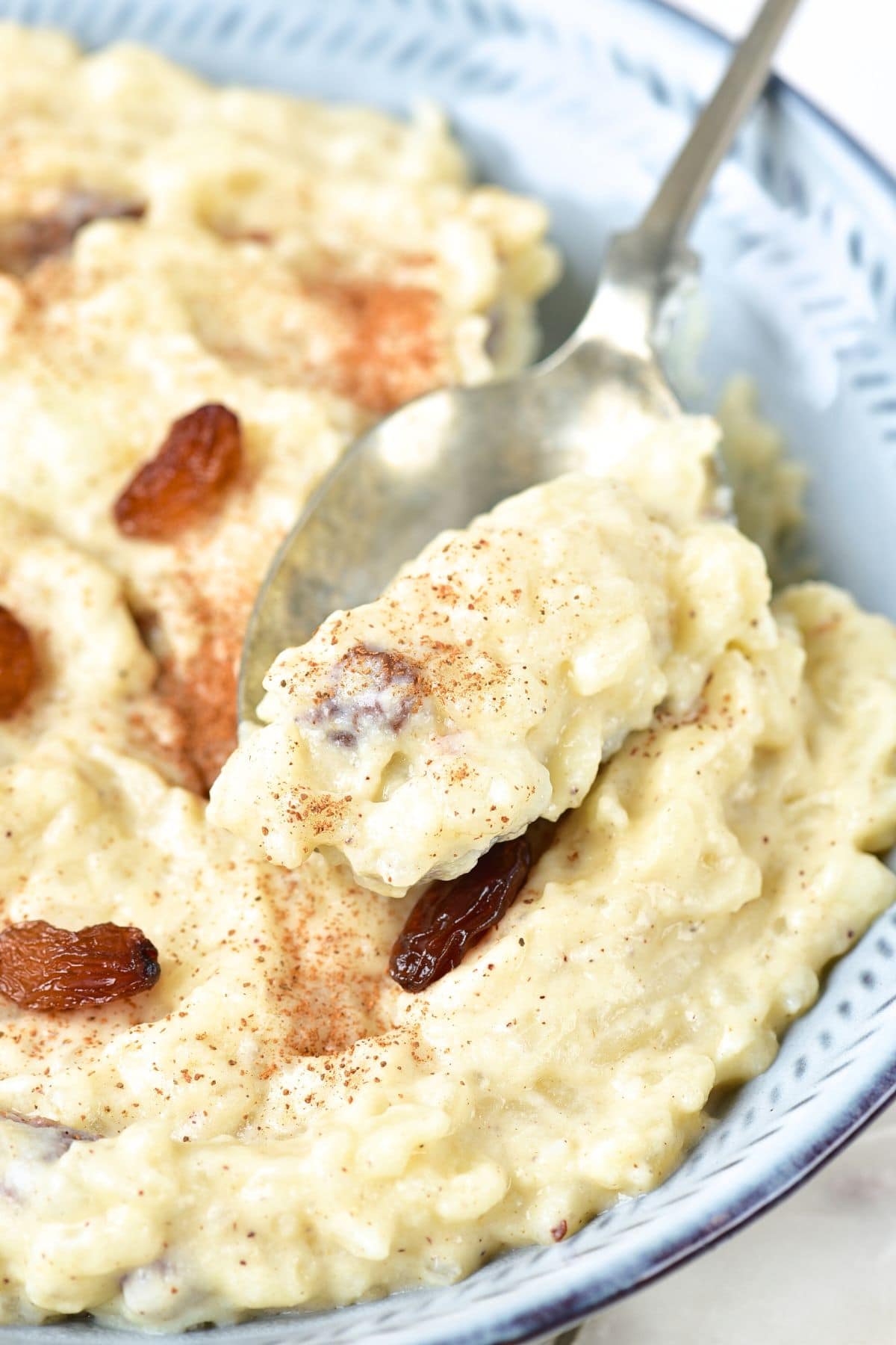 A bowl of rice pudding and raisins.