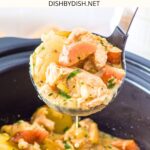 Holding up a ladle of creamy slow cooker chicken