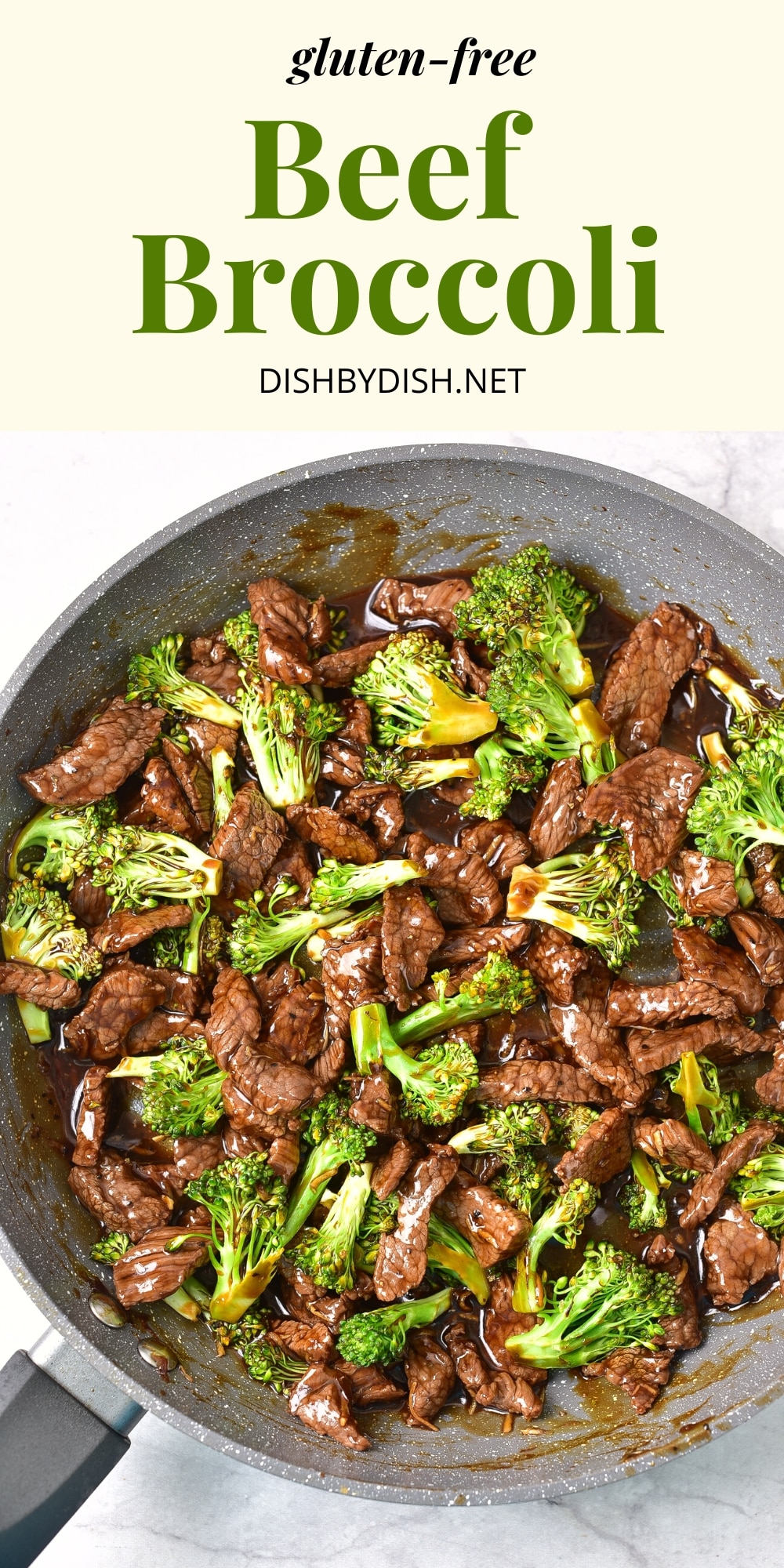 Easy GlutenFree Beef and Broccoli (DairyFree) Dish by Dish