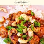 Top down view of cashew chicken.