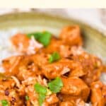 Up close view of chicken curry and rice on plate.