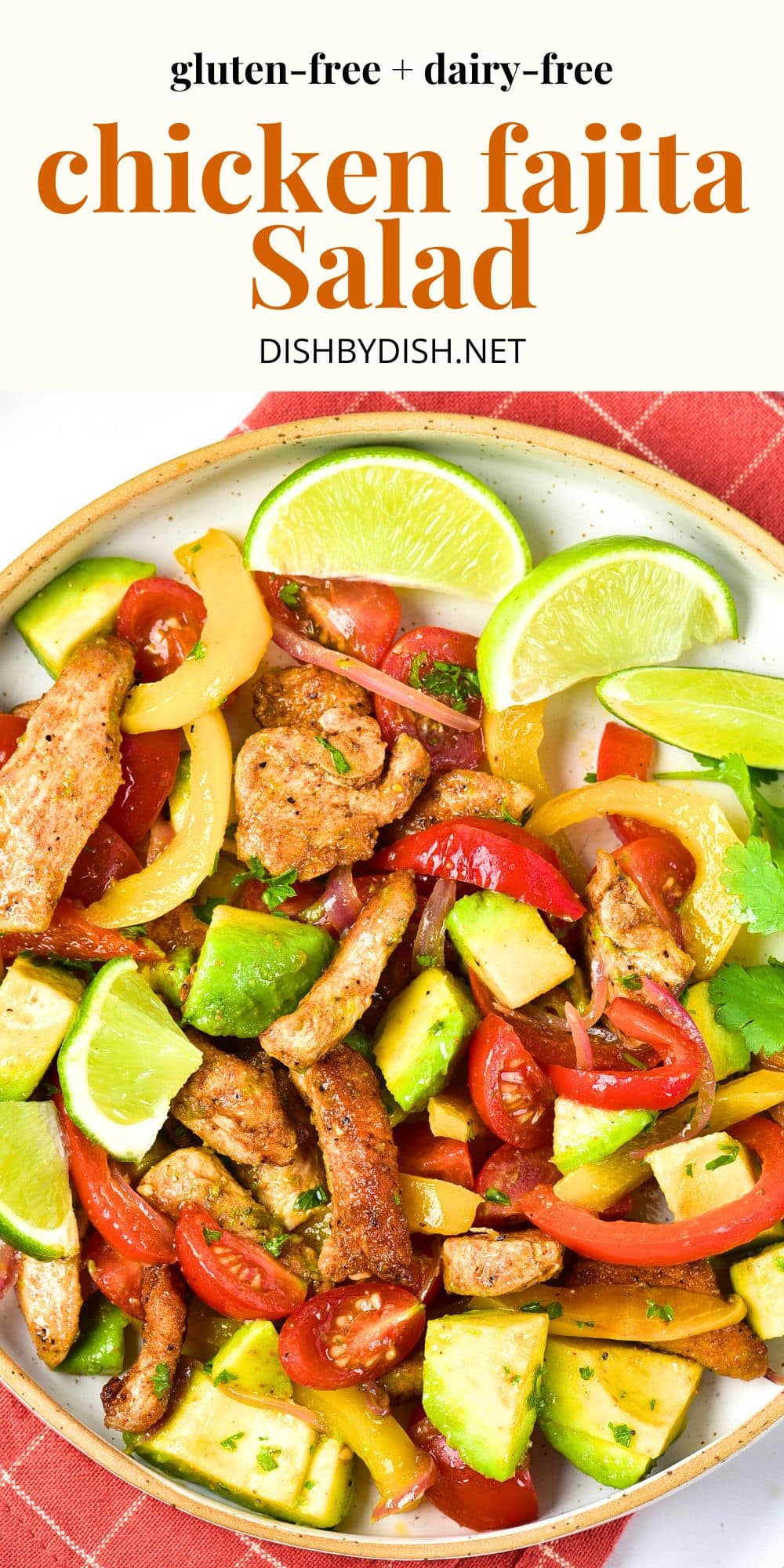Chicken Fajita Salad Gluten Free Dairy Free Dish By Dish