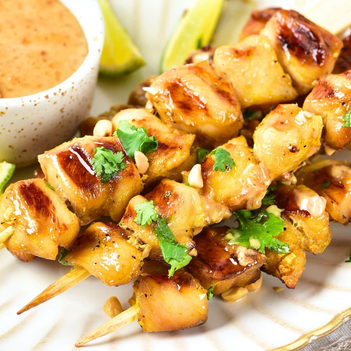 Chicken satay and peanut sauce on plate.