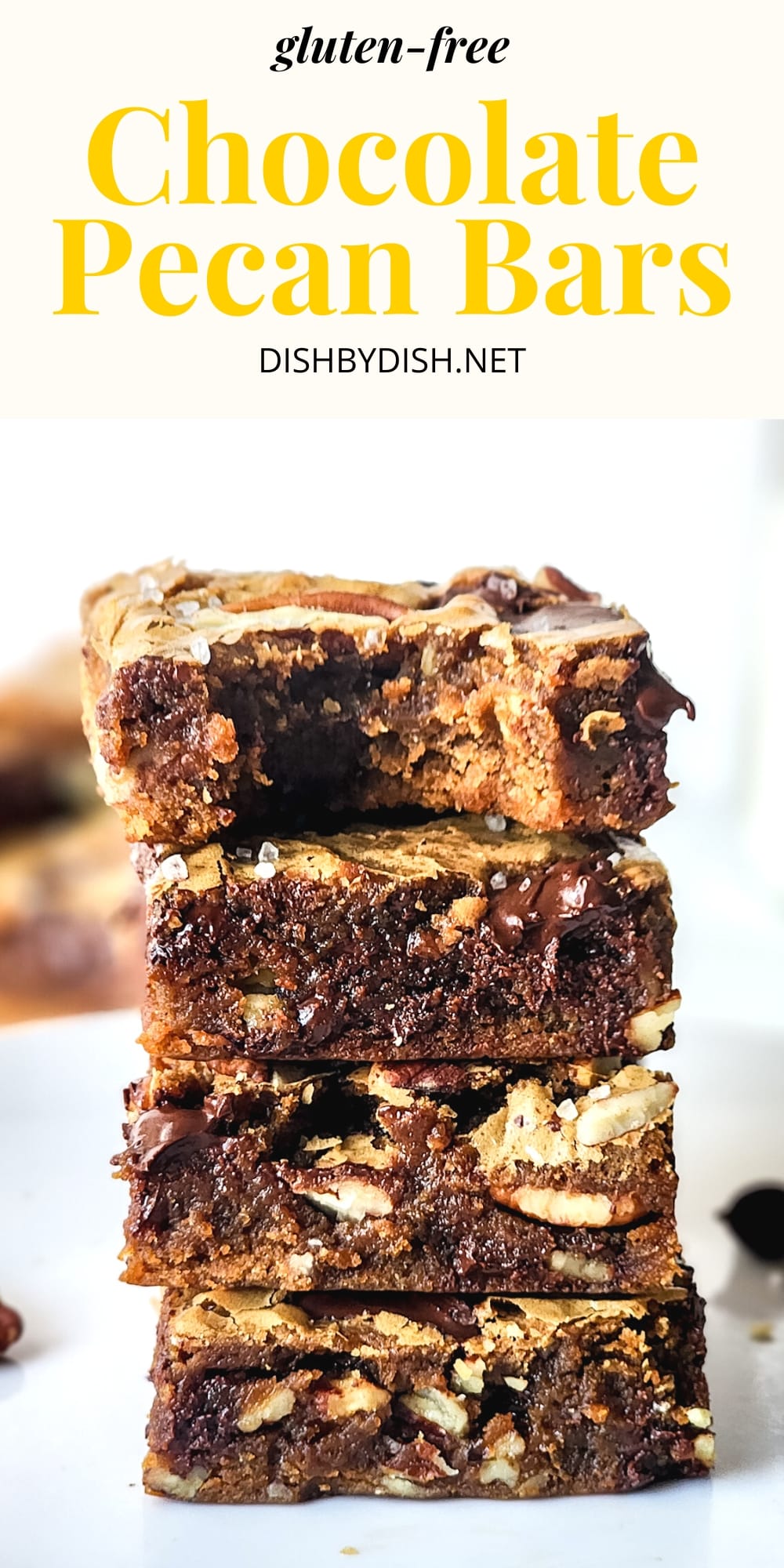 Chocolate Pecan Bars (GlutenFree, DairyFree) Dish by Dish