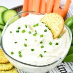 A cracker in a bowl of cottage cheese ranch dip