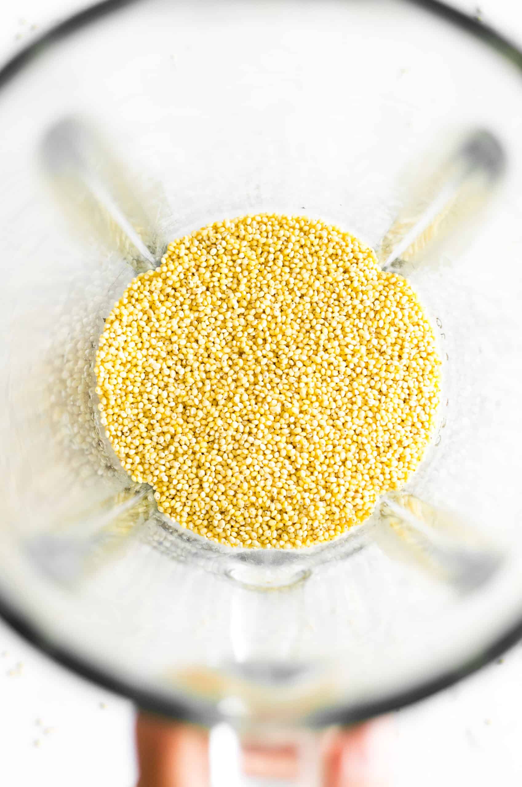 Hulled millet seeds in the bowl of a high-speed blender.