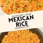 Collage of images of Mexican rice.