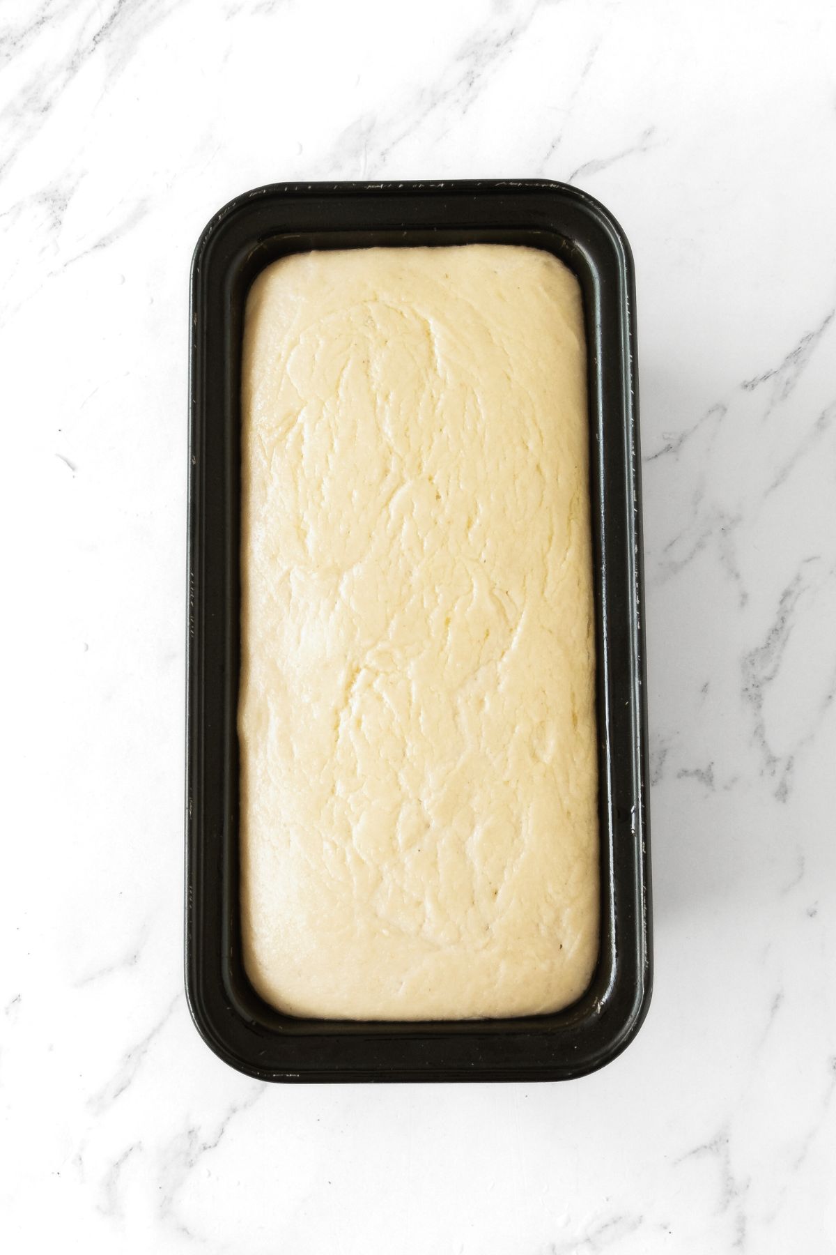 Risen bread dough in loaf pan.