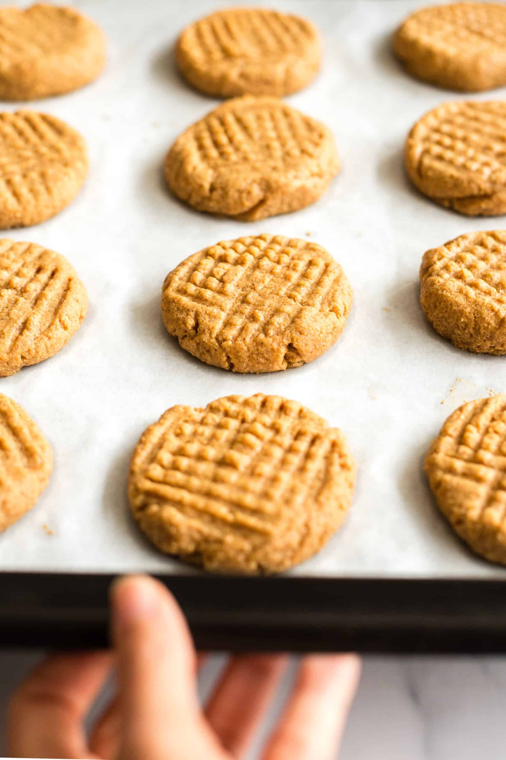 Hand holding a baking sheet full of freshly baked gluten-free peanut butter cookies.