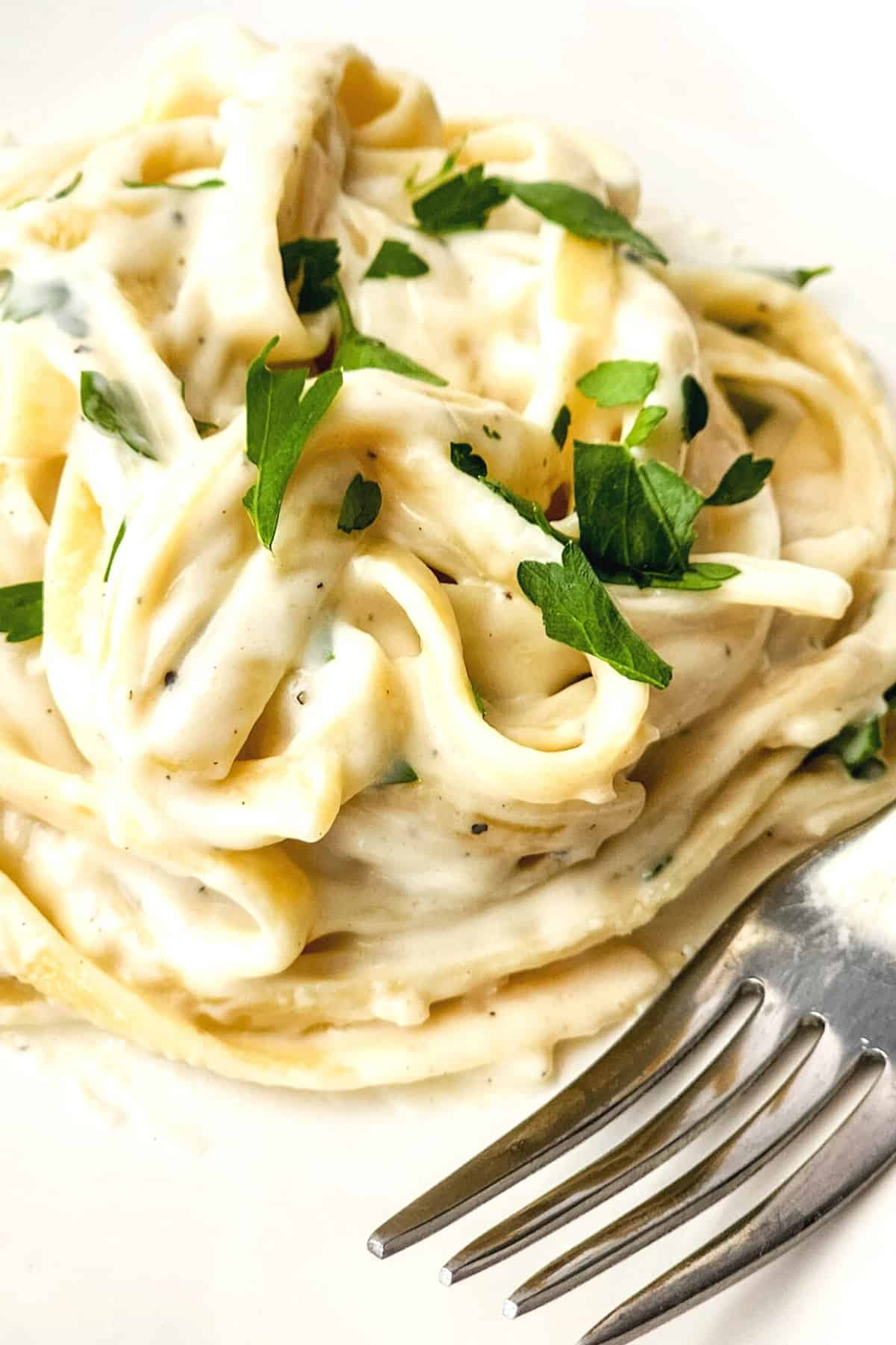 Up close shot of a bowl of fettuccine alfredo.