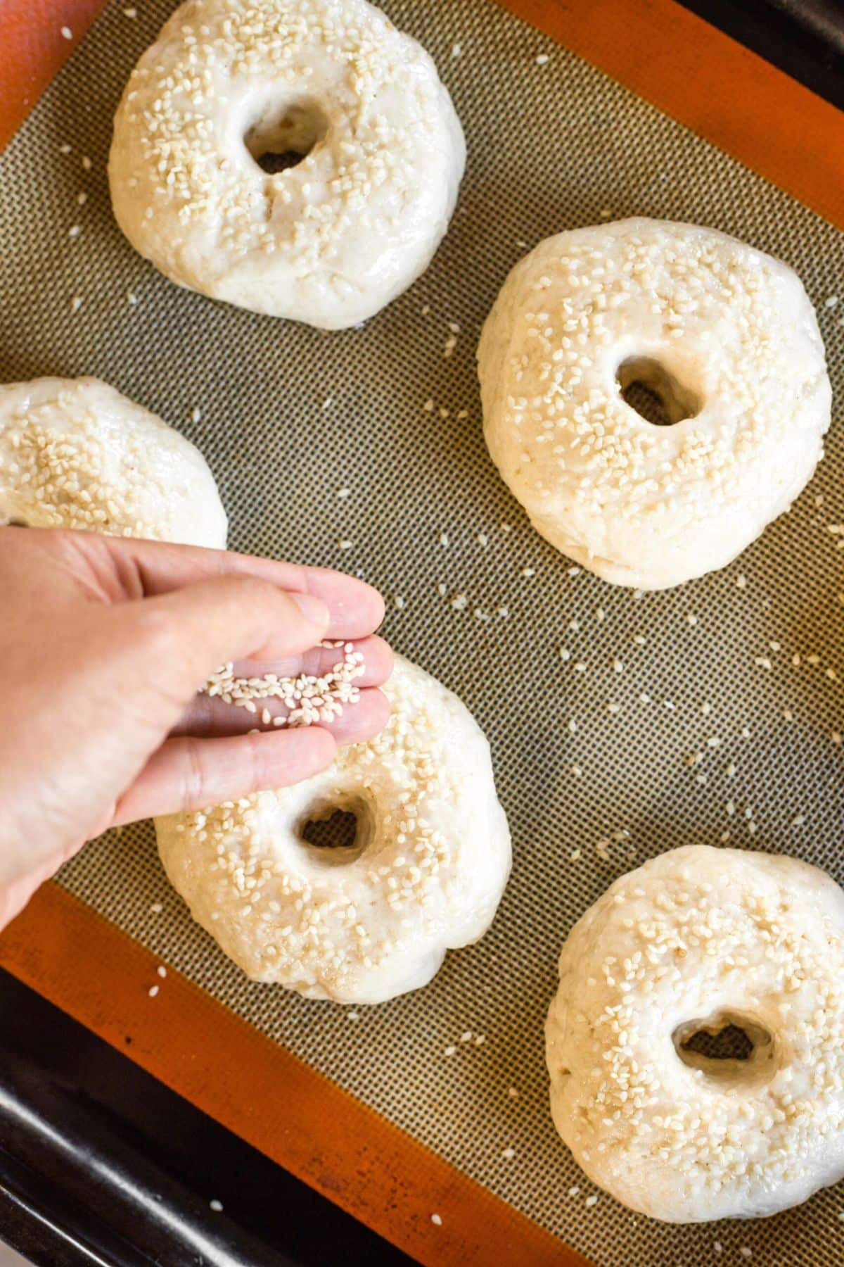 Sprinkling white sesame seeds on top of bagel dough.