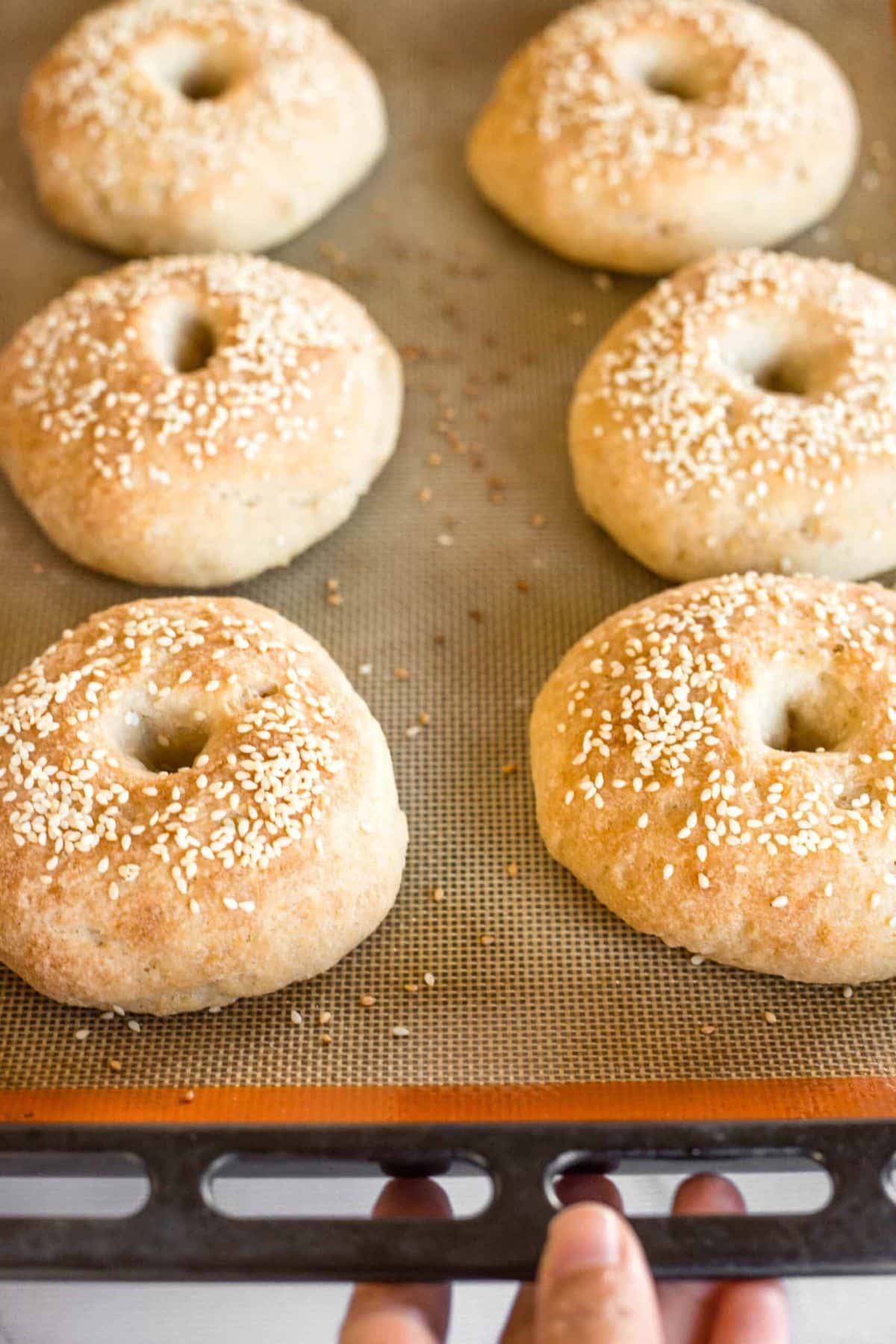 Hand pulling a baking sheet with gf bagels.