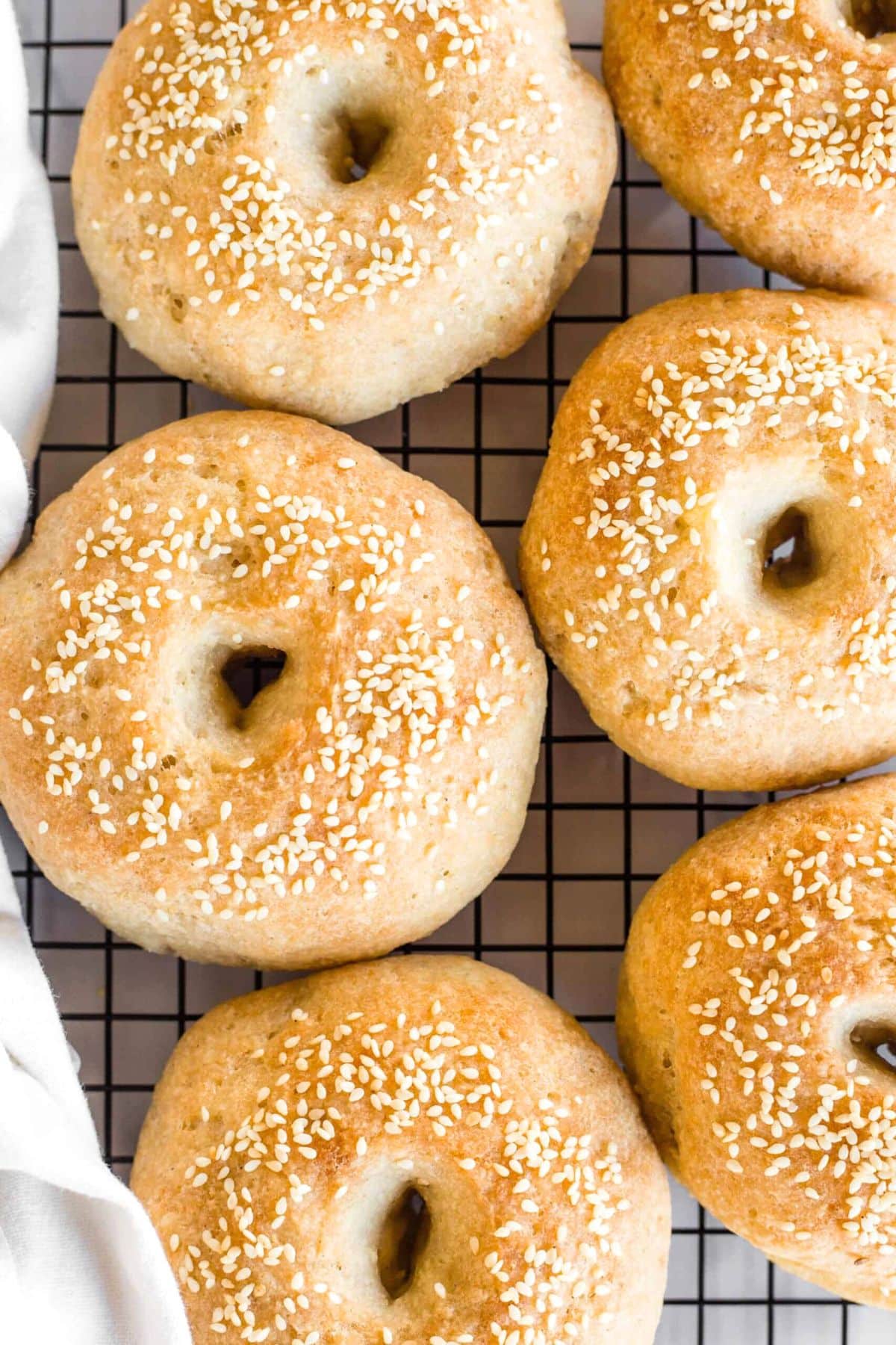 Up close view of gluten-free bagels on wire rack.