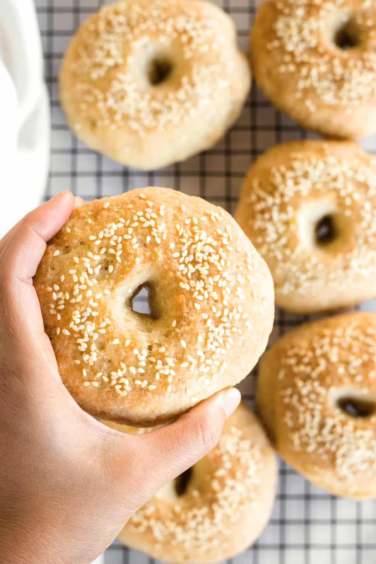 Hand holding up a homemade bagel.