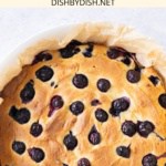 Top down view of freshly baked blueberry cake.