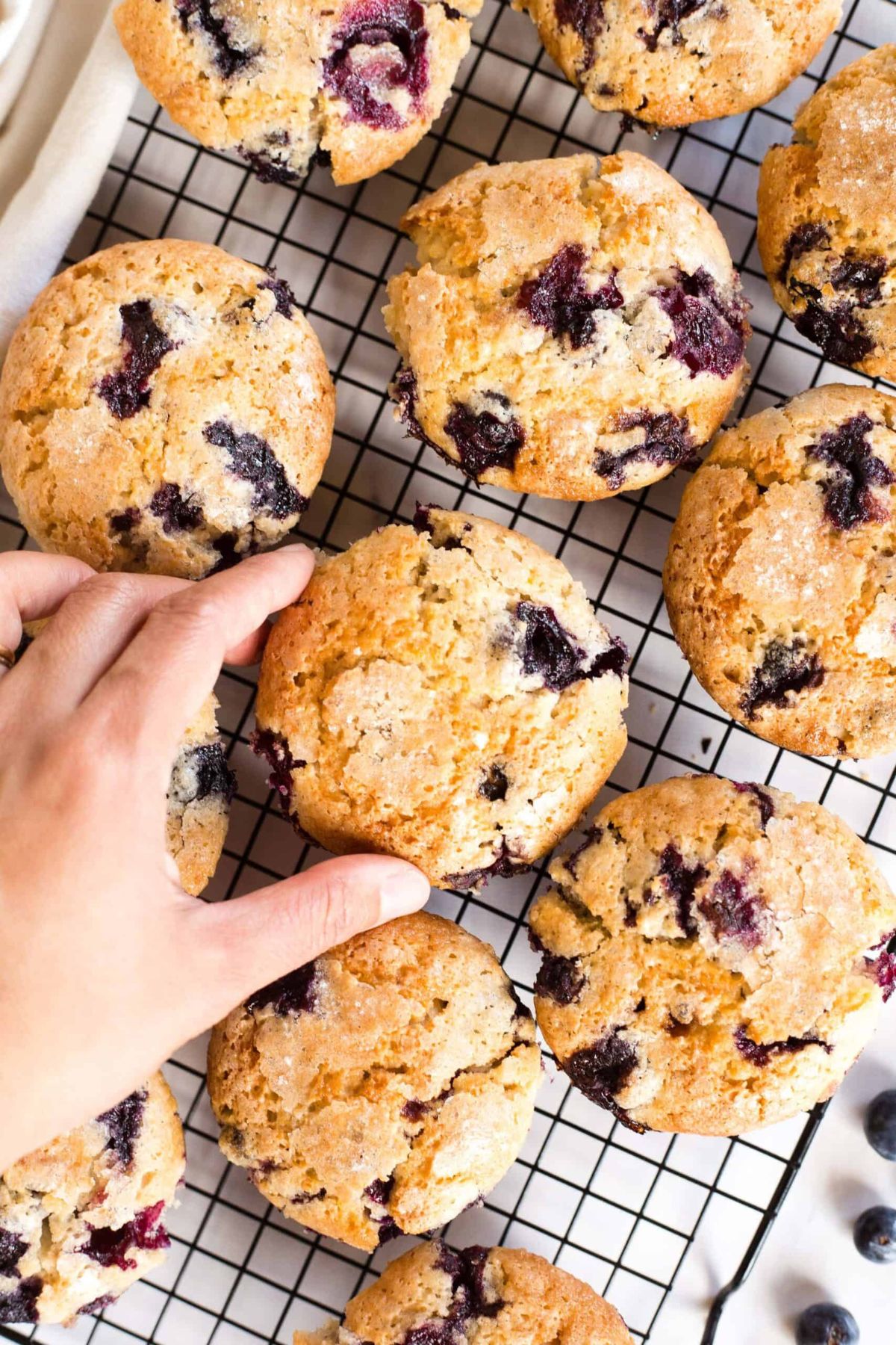 Hand reaching for a gluten-free blueberry muffin from cooling rack
